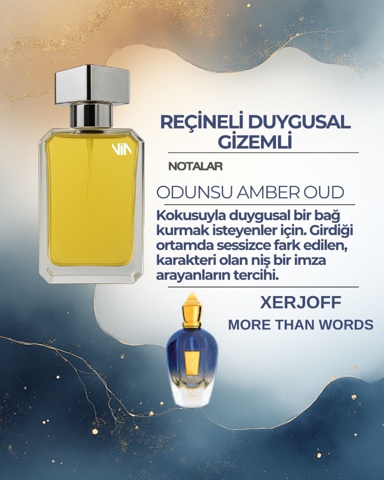 XERJOFF MORE THAN WORDS UNISEKS DUPE
