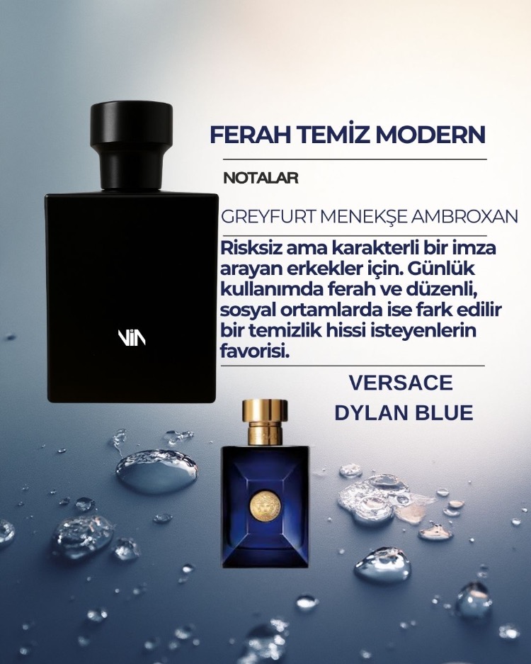 VERSACE DYLAN BLUE DUPE