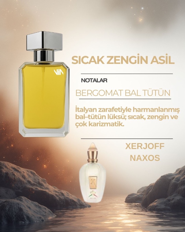 XERJOFF NAXOS UNISEKS DUPE
