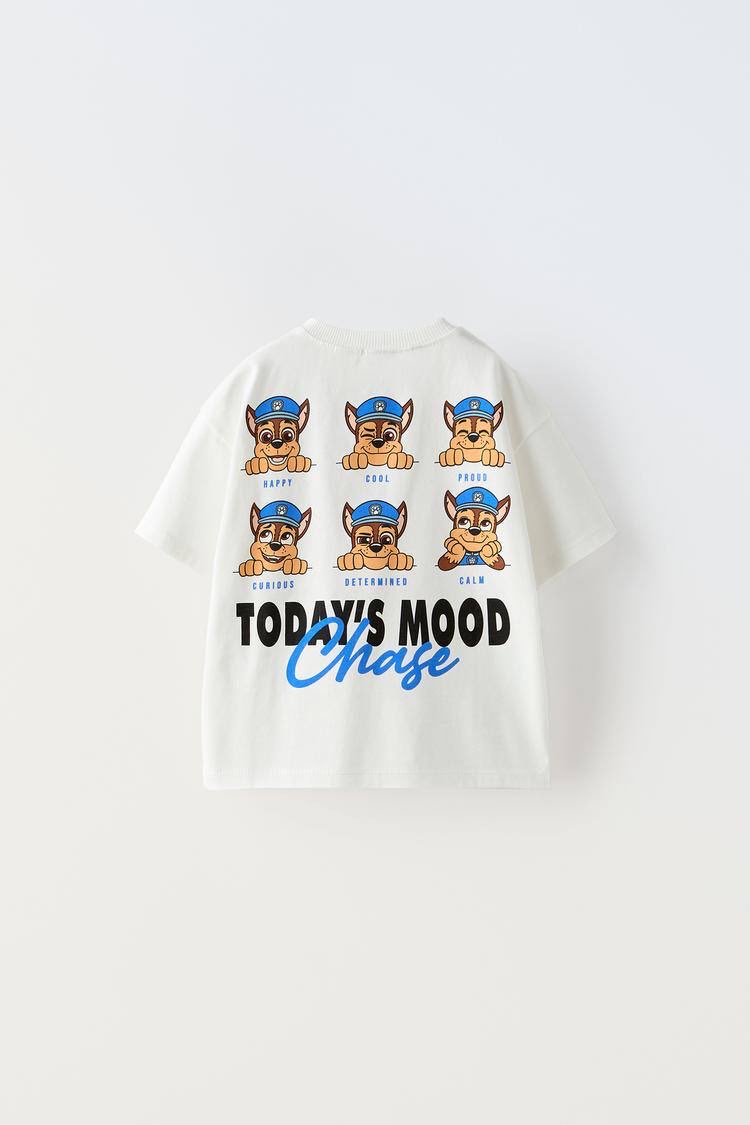 Disney Paw Patrol Takım