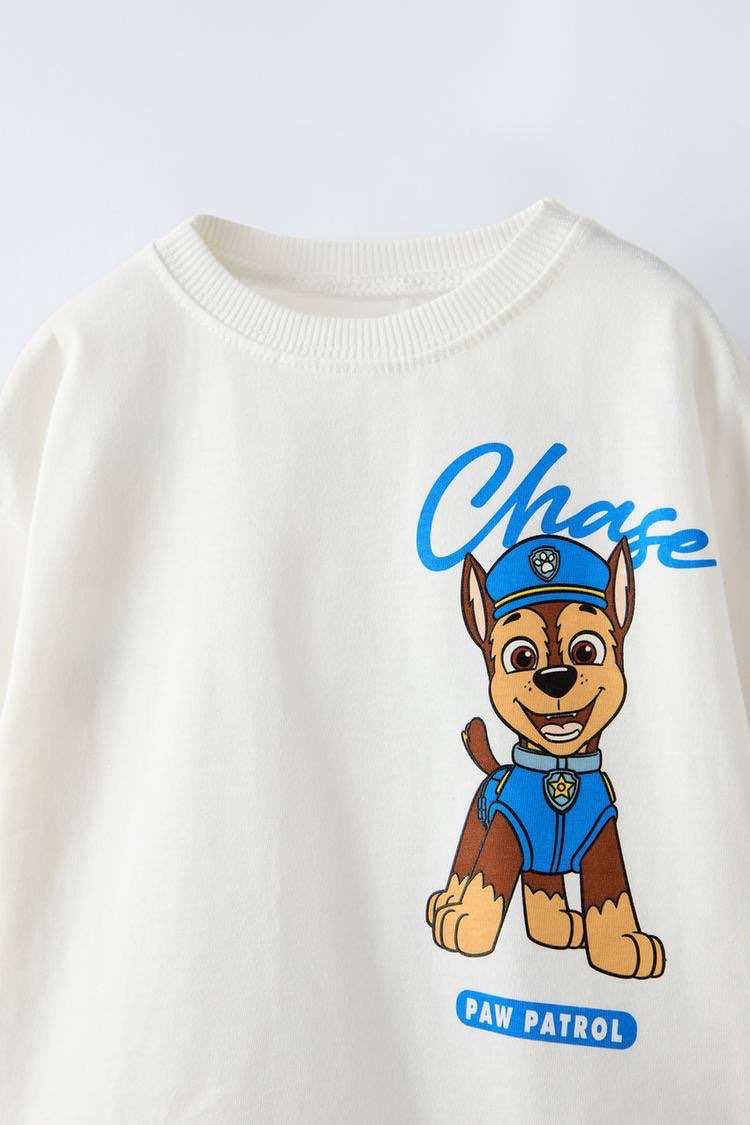 Disney Paw Patrol Takım