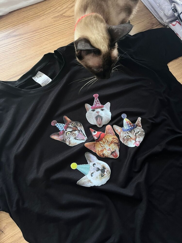 Cats - Tişört