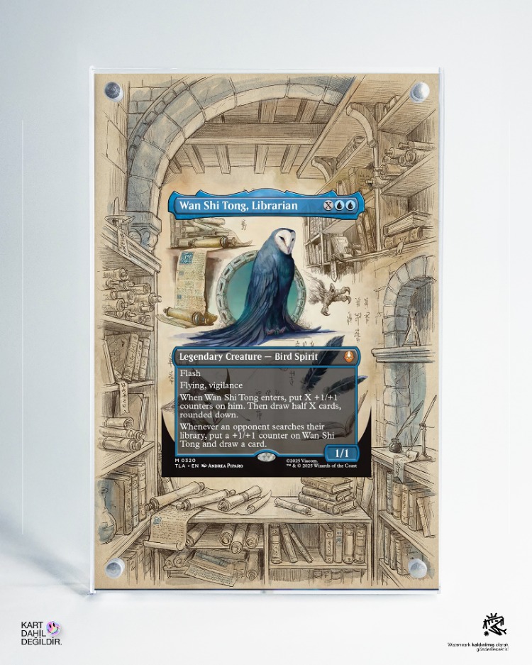 Wan Shi Tong, Librarian - MTG - Extended Art Displays