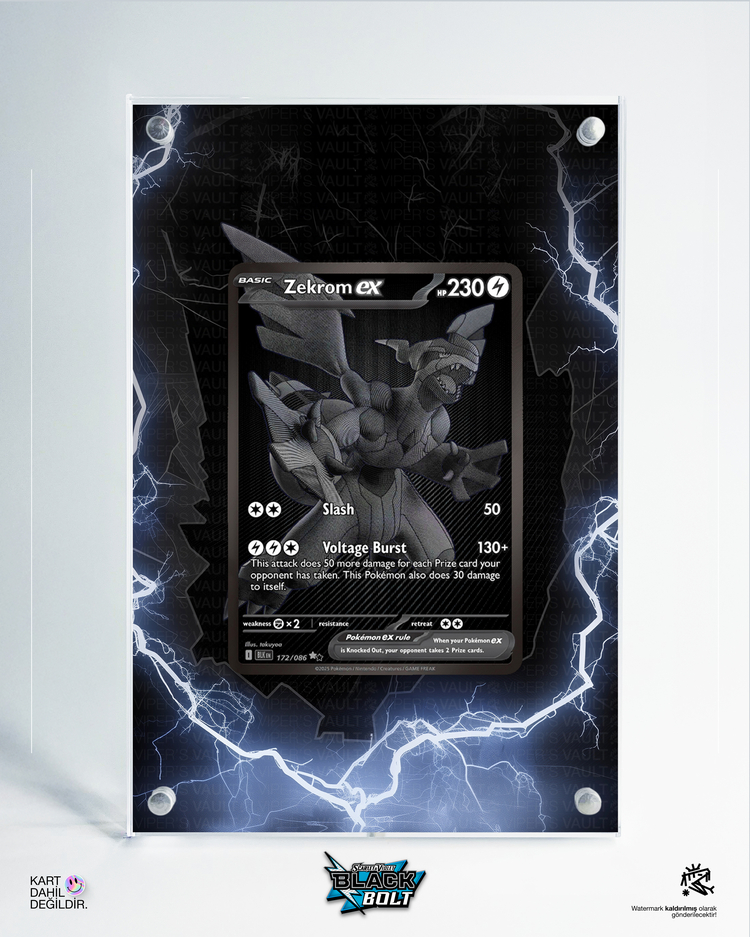 Zekrom ex 2 - Black Bolt - Extended Art Display
