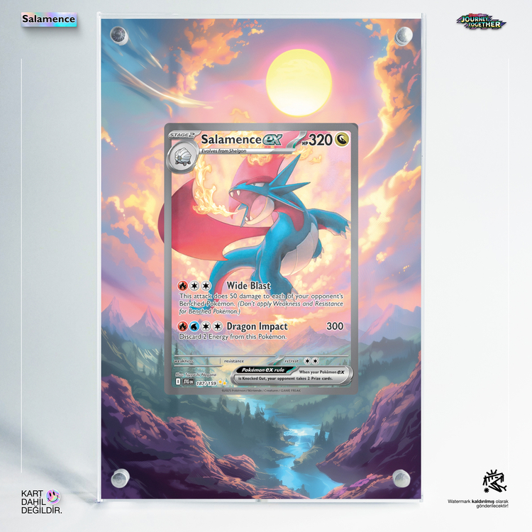 Salamence EX – Extended Art Display