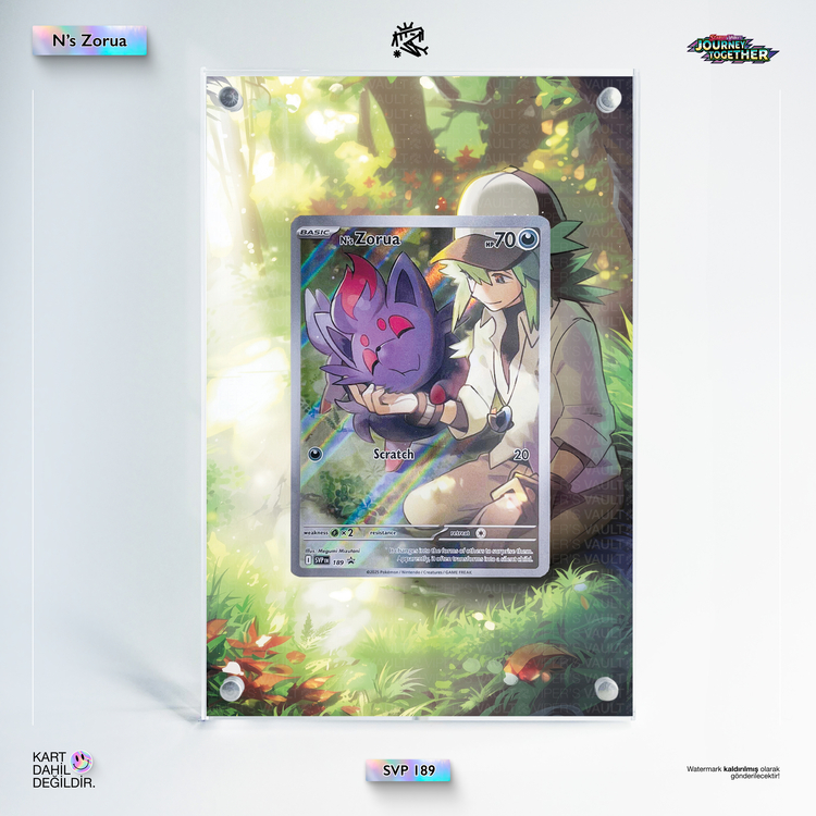 N's Zorua - Extended Art Display