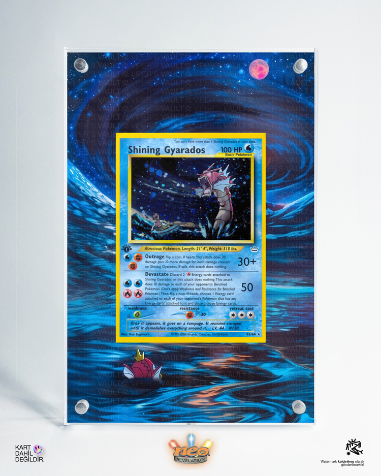 Shining Gyarados - Extended Art Display