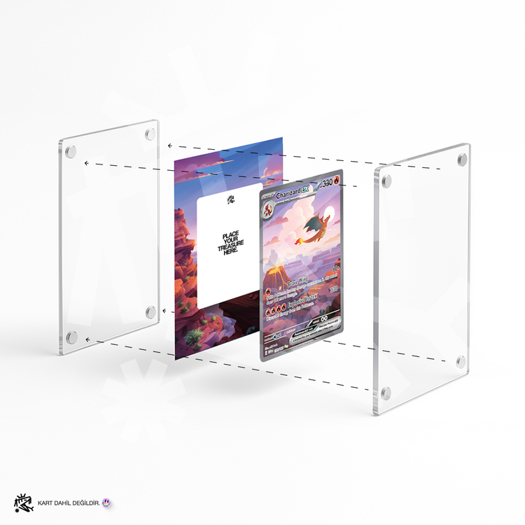 Slowpoke - Scarlet & Violet - Extended Art Display