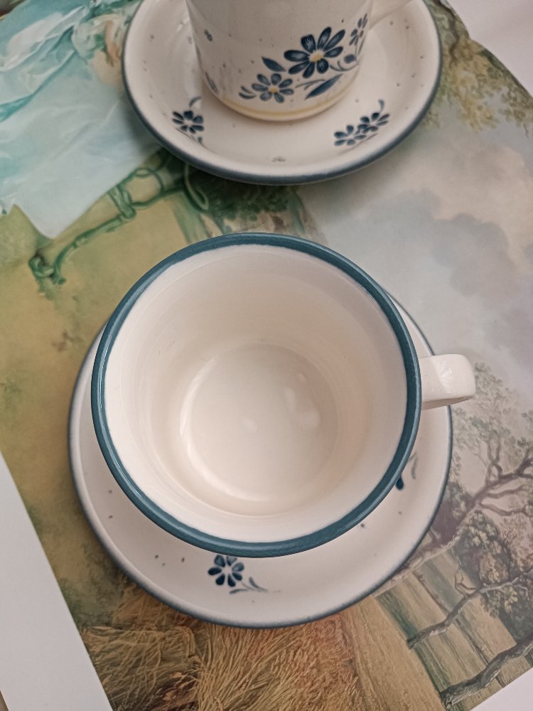 Biltons İngiliz Çay fincanı 