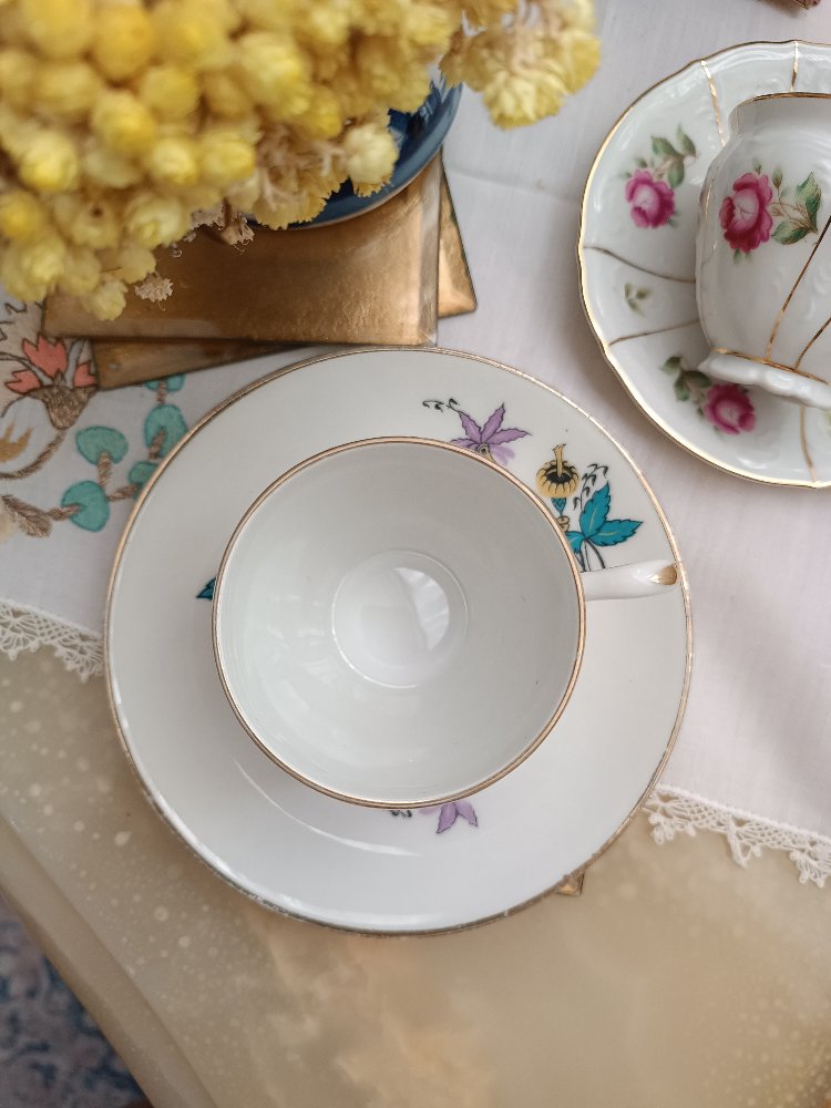 Limoges fincan 