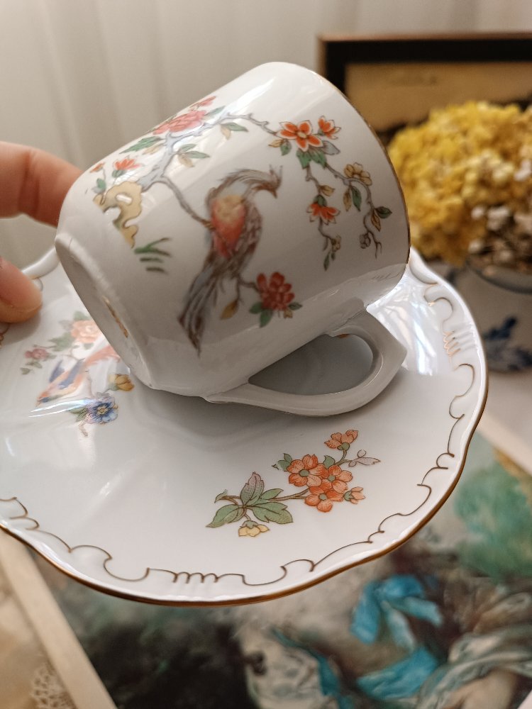 Fransız anka kuşu fincan