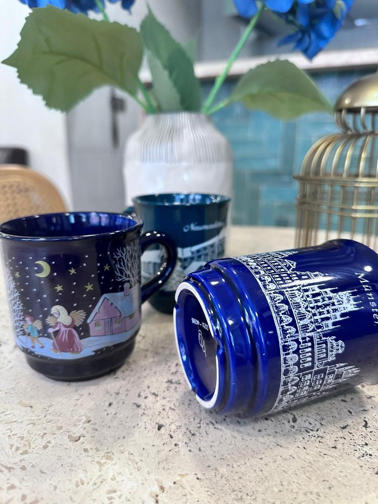Avrupa evleri mug