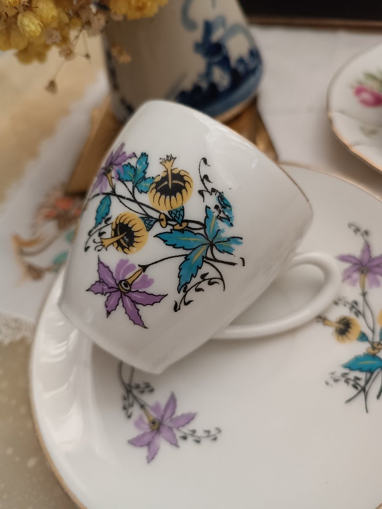 Limoges fincan 
