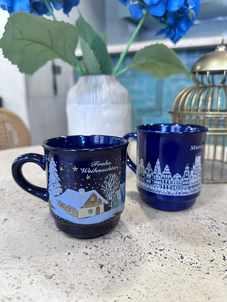 Avrupa evleri mug