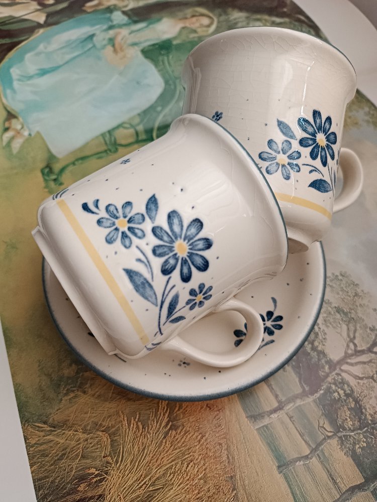 Biltons İngiliz Çay fincanı 