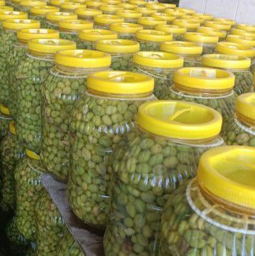 yeşil zeytin kırma el