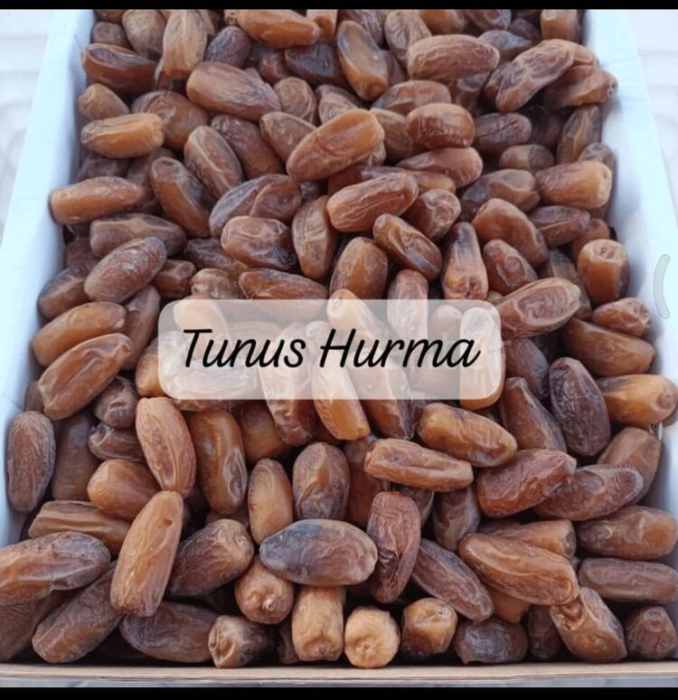 Hurma (Tunus , Ürdün Kudüs , Meşruk Duble ve Medine mejdoul seçenekleriyle)