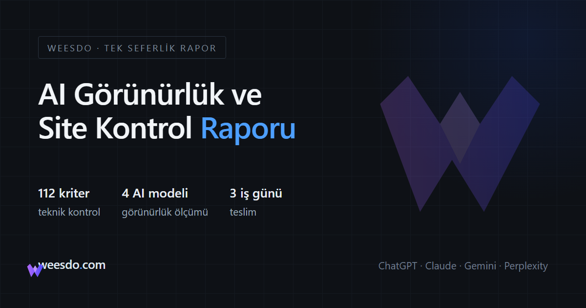 Weesdo AI Görünürlük Raporu