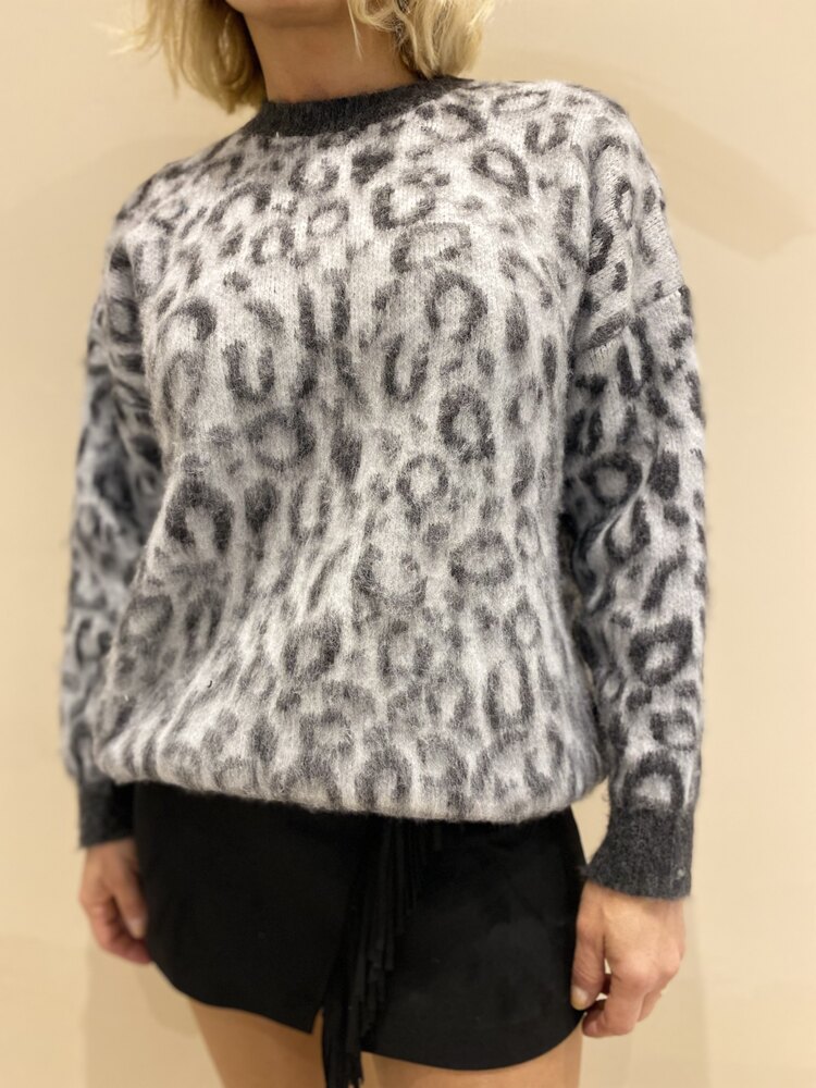Leopar kazak 