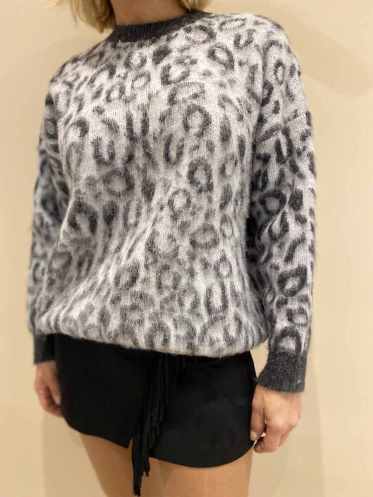 Leopar kazak 