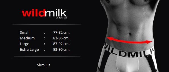 wildmilk - Rainbow Jockstrap
