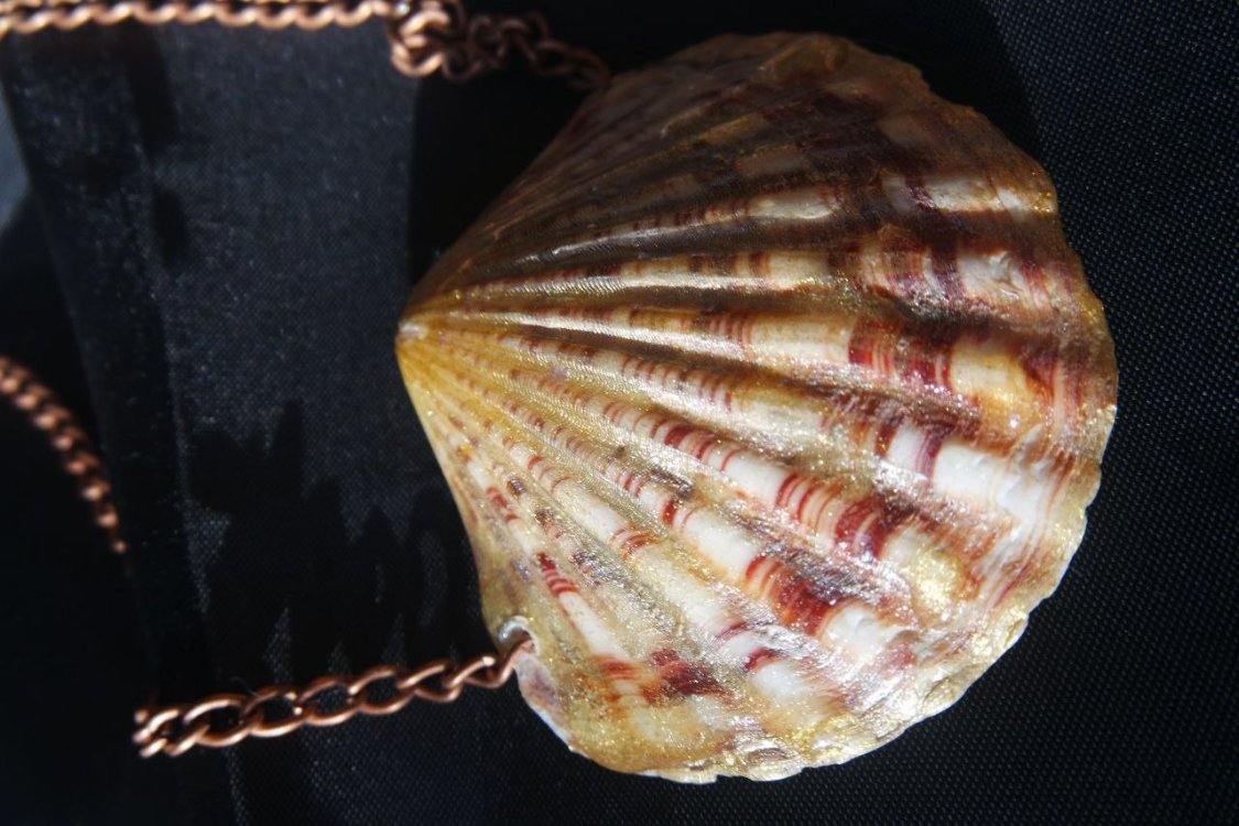 Re-decorated Shell Necklace 1