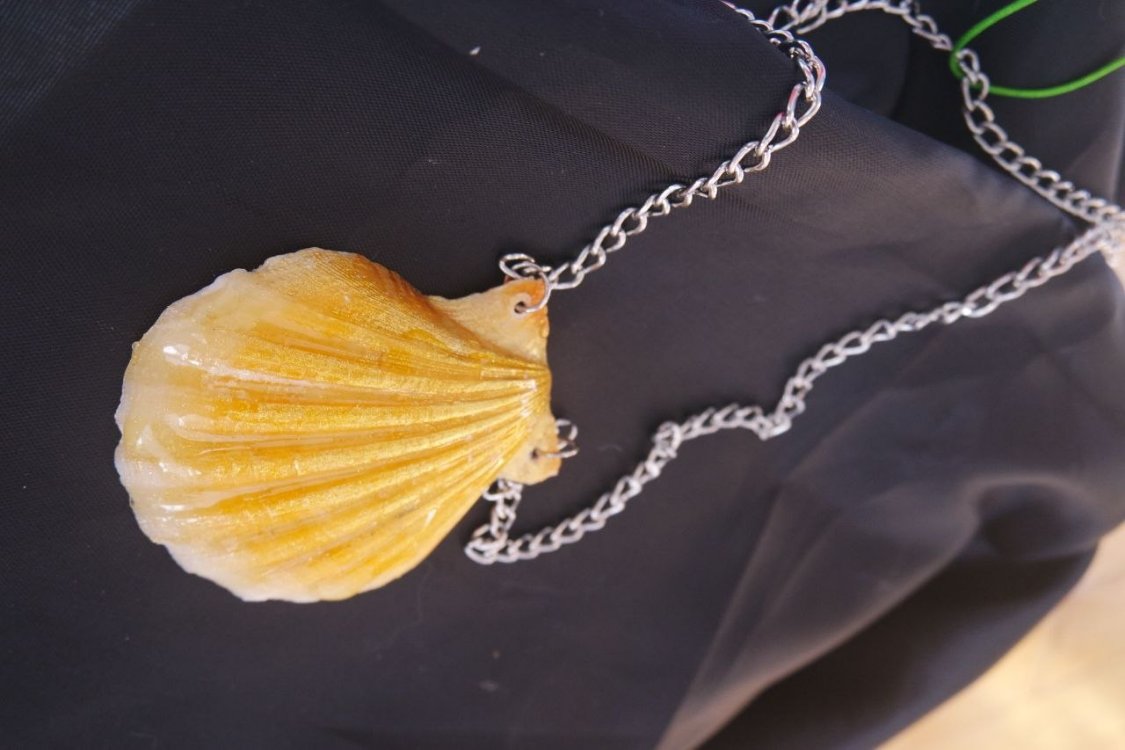 Re-decorated Shell Necklace 2