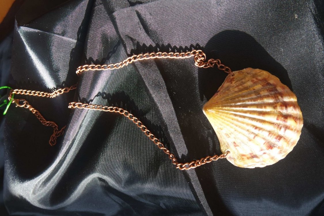 Re-decorated Shell Necklace 1