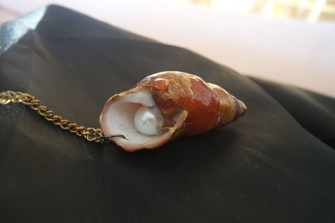 Re-decorated Shell Necklace 3