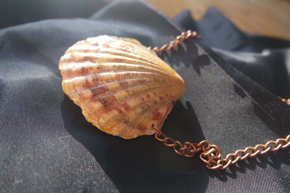 Re-decorated Shell Necklace 1