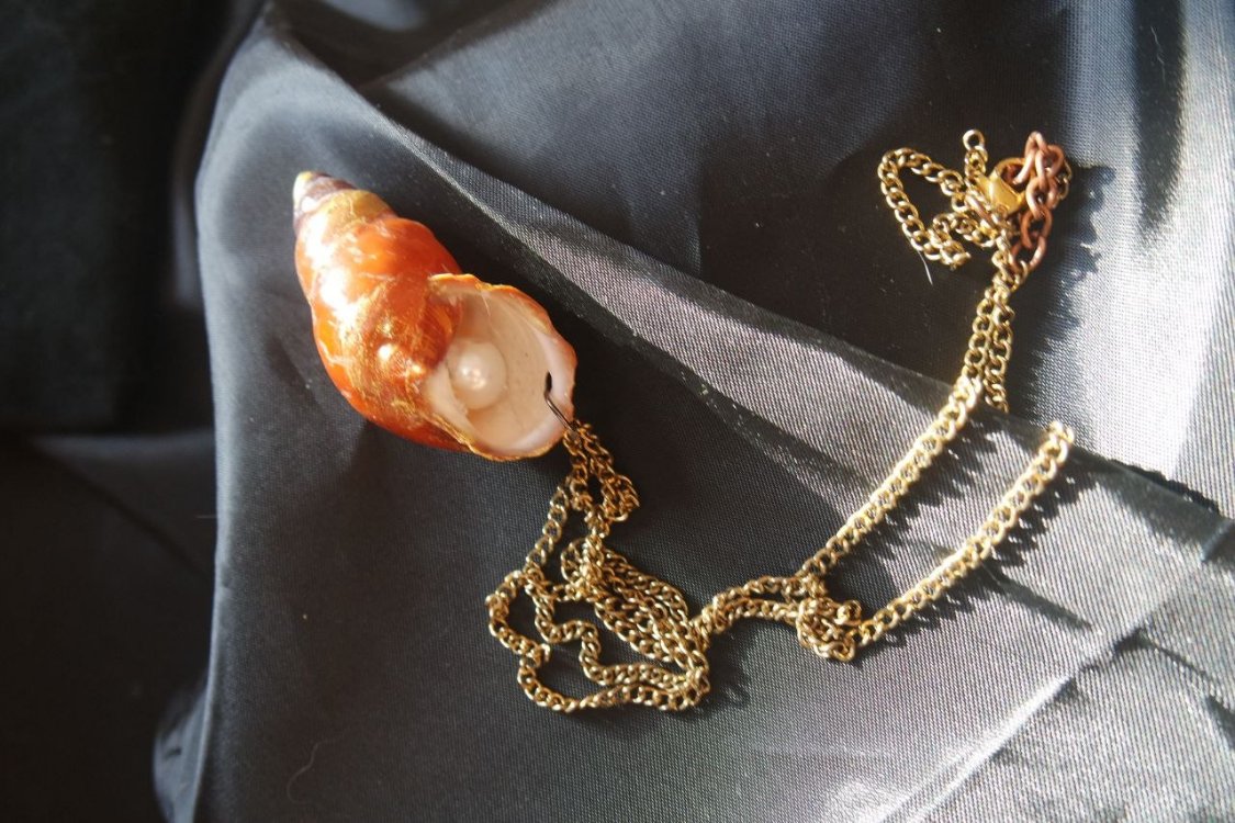 Re-decorated Shell Necklace 3