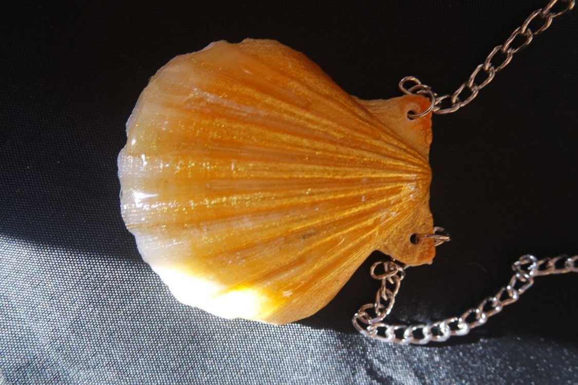 Re-decorated Shell Necklace 2