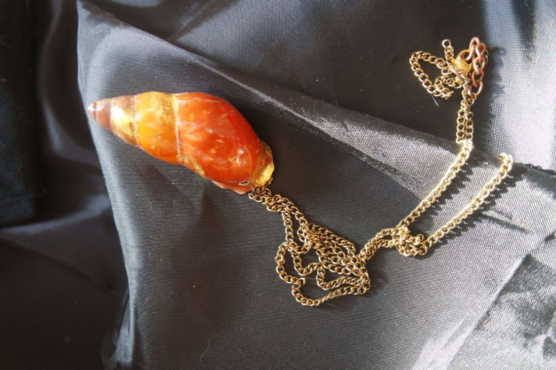 Re-decorated Shell Necklace 3