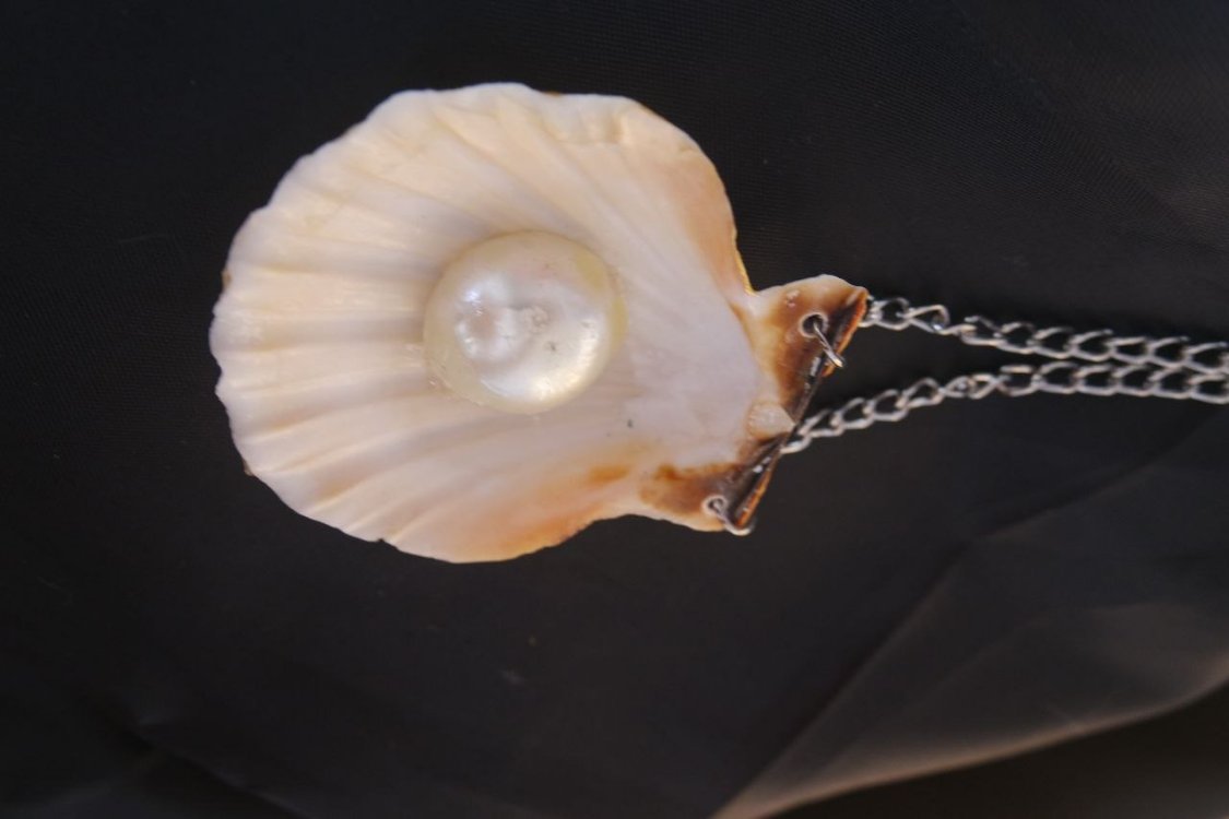 Re-decorated Shell Necklace 2