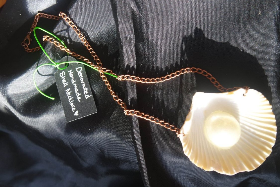 Re-decorated Shell Necklace 1