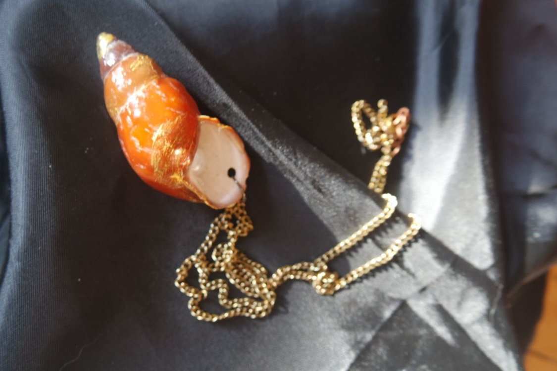 Re-decorated Shell Necklace 3