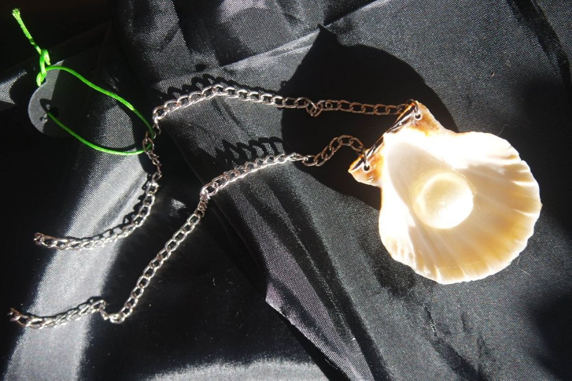 Re-decorated Shell Necklace 2