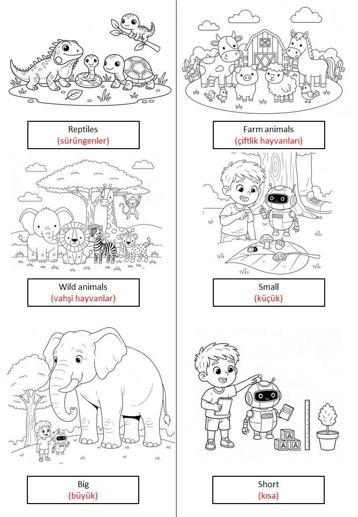 WORD TANK 5th GRADE COLORING BOOK - MAARİF MODELİ KİTABIYLA %100 UYUMLU KELİMELER (PDF)