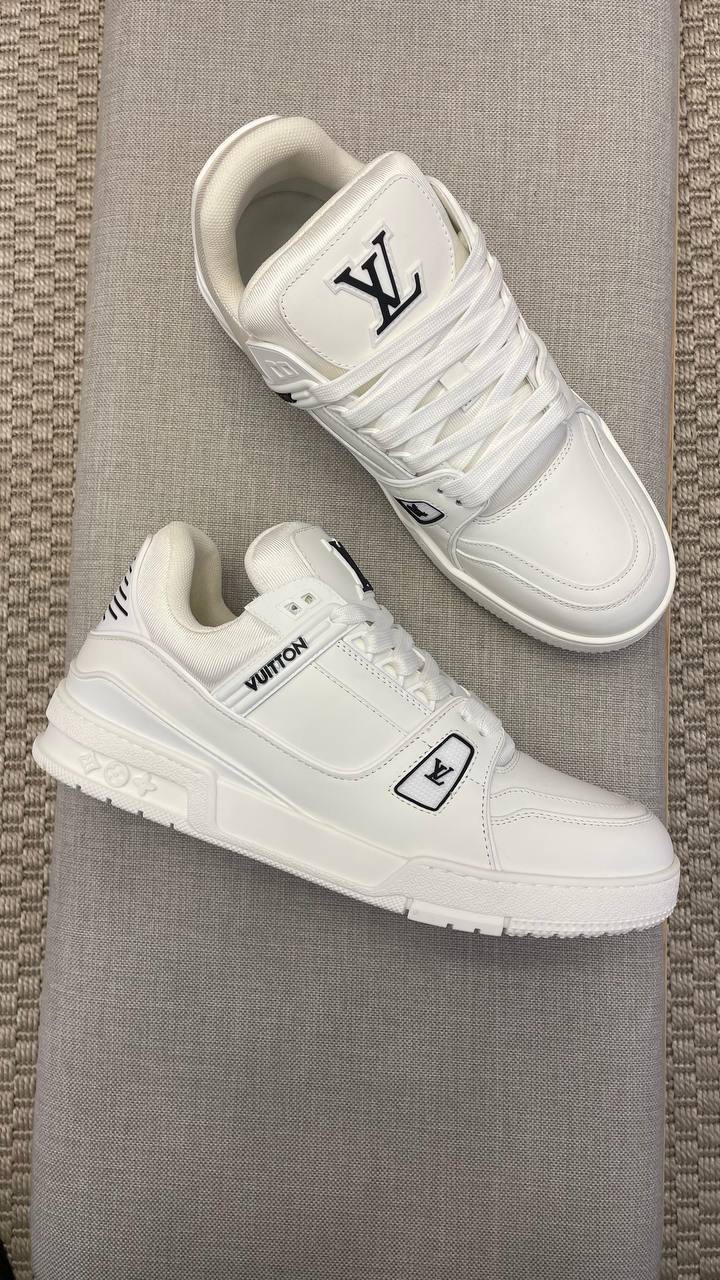 LOUIS VUITTON SKATE