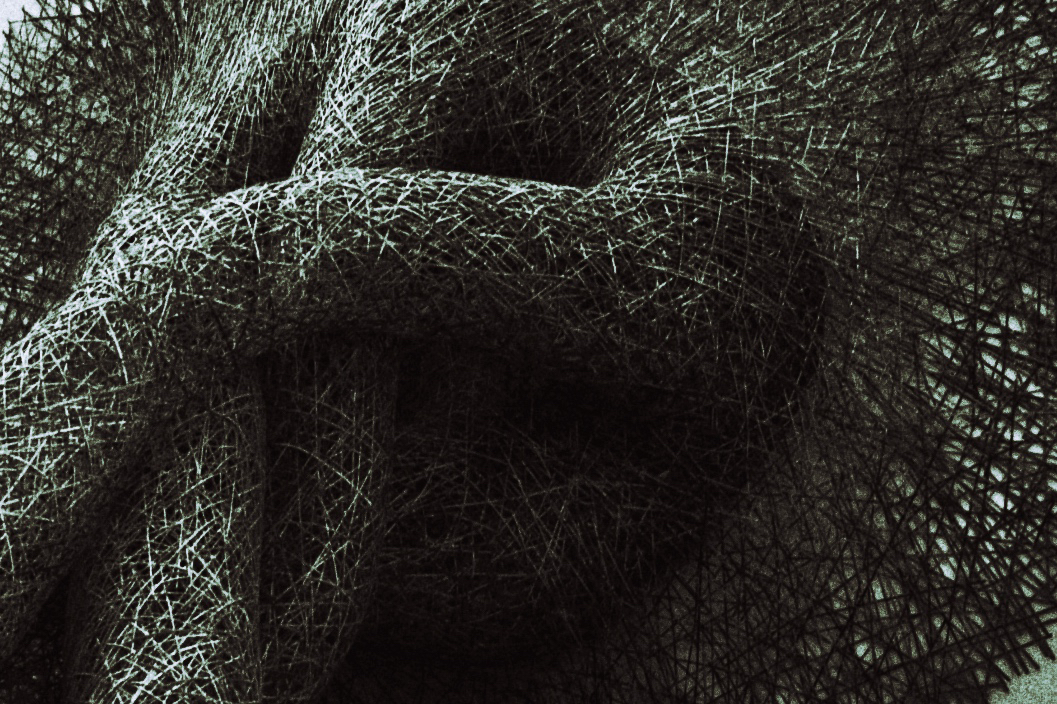 Untitled Texture (Digital)