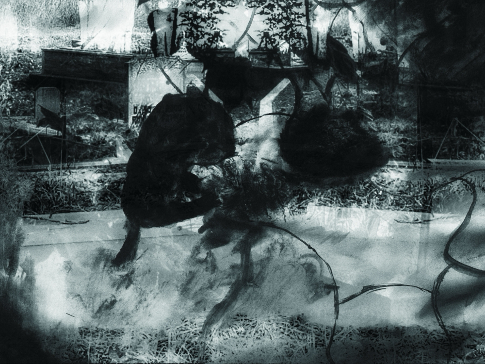 Umbilical to Nothingness (Digital)
