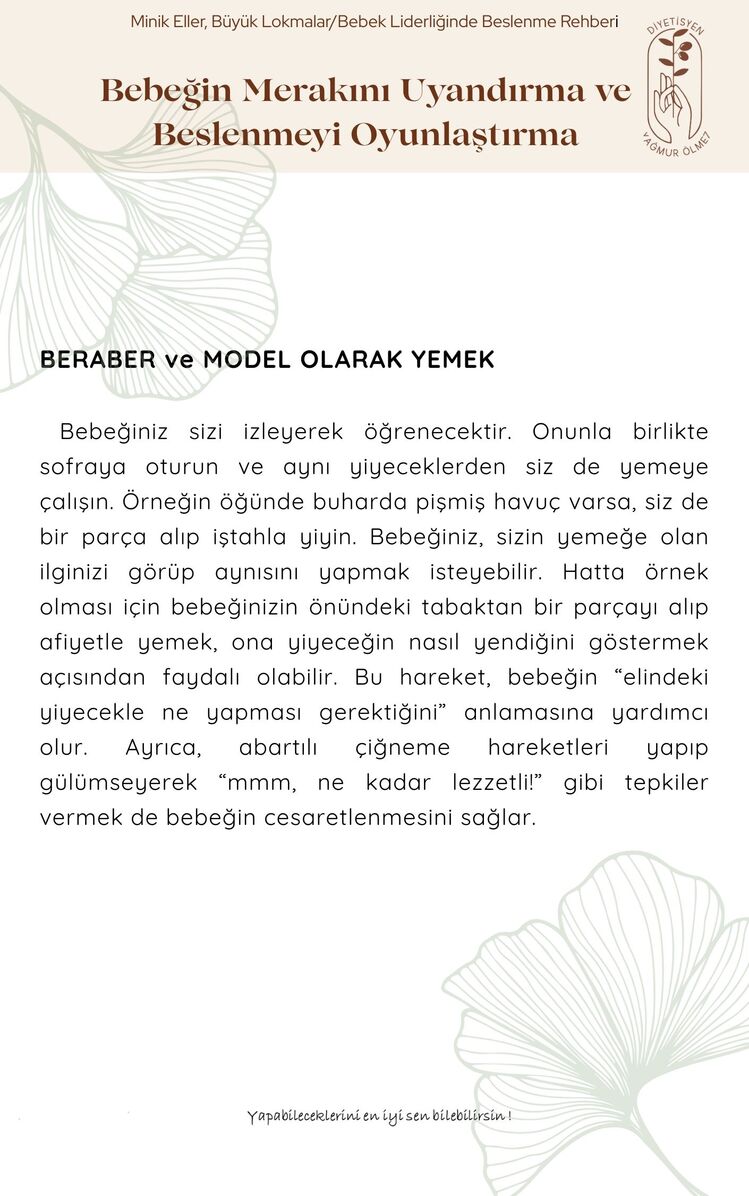 Minik Eller, Büyük Lokmalar - Bebek Liderliğinde Beslenme Rehberi