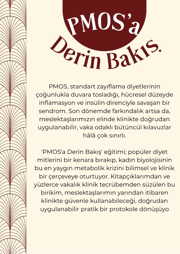 PMOS a Derin Bakış