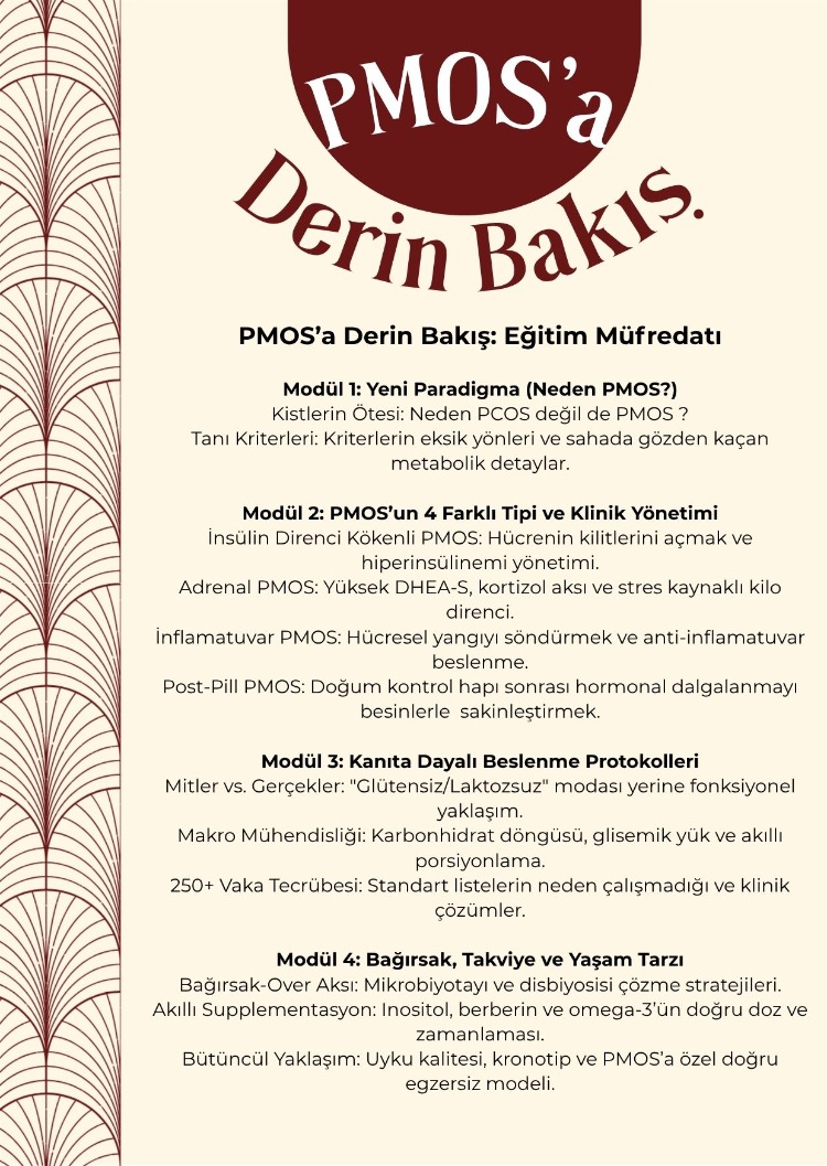 PMOS a Derin Bakış