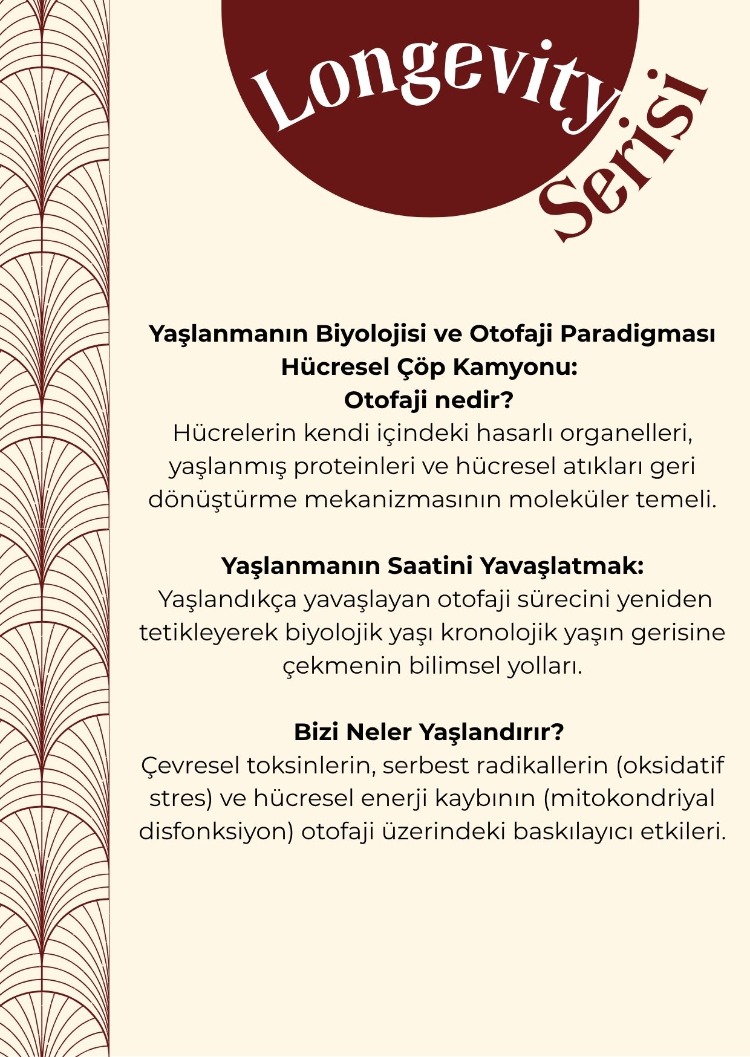 LONGEVITY SERİSİ -