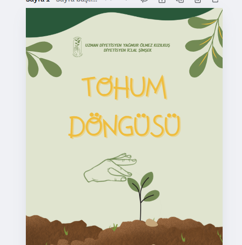 TOHUM DÖNGÜSÜ