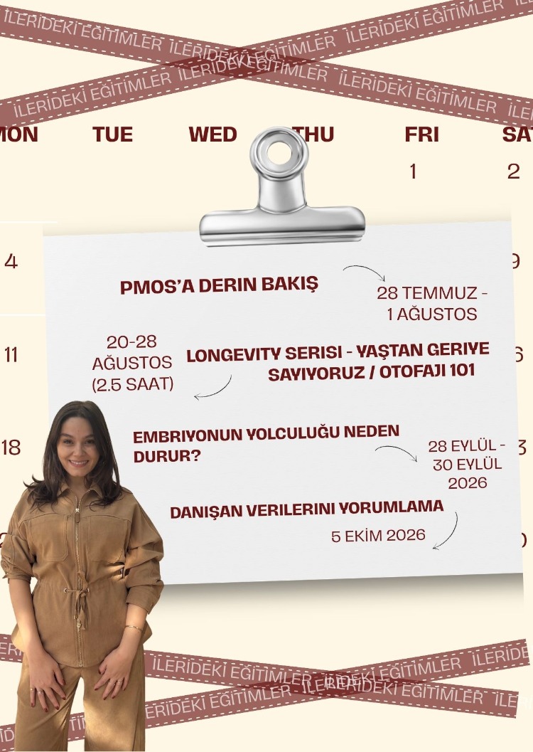 PMOS a Derin Bakış