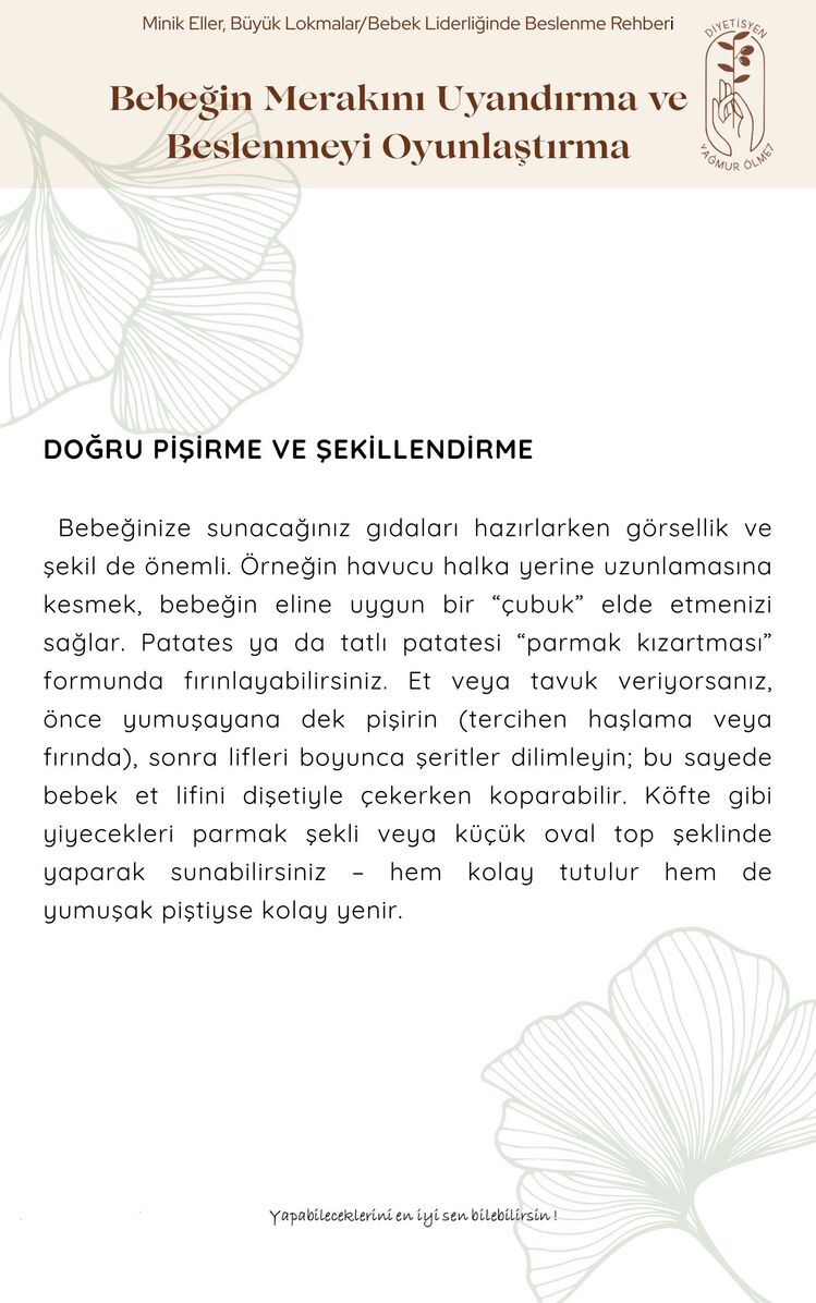 Minik Eller, Büyük Lokmalar - Bebek Liderliğinde Beslenme Rehberi