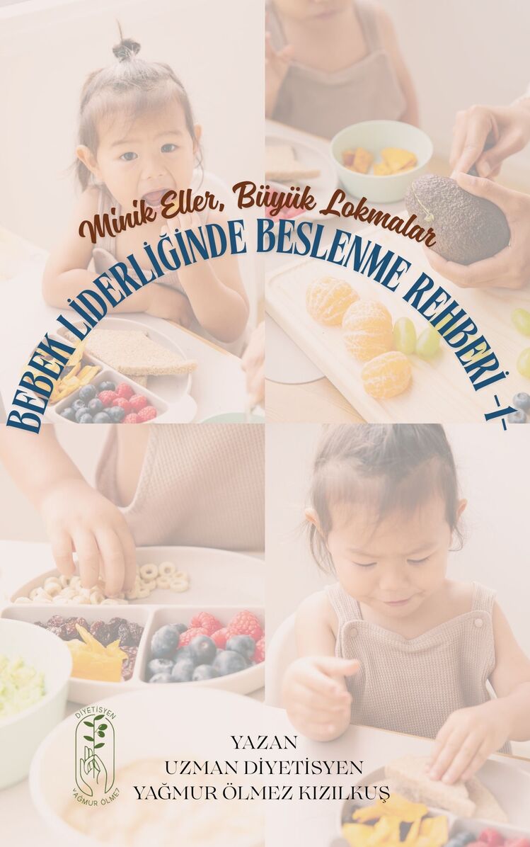 Minik Eller, Büyük Lokmalar - Bebek Liderliğinde Beslenme Rehberi