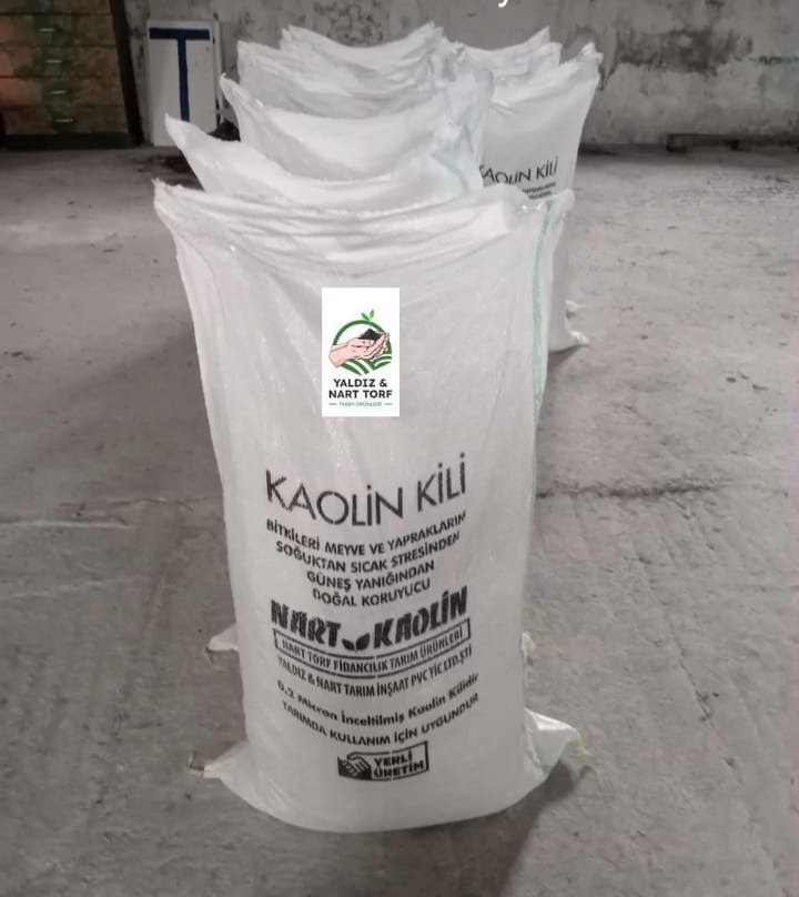 YALDIZ NART & KAOLİN KİLİ 25 KG
